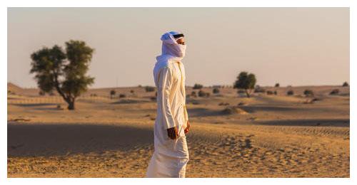 e876-irpunah2144737.jpg