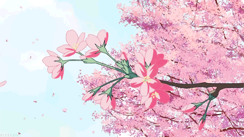 83b9-irpunai2643356.gif