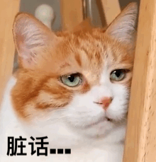 e8d5-irpunai4843011.gif