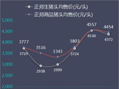 63a8-iryninw2487750.jpg