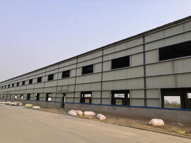 8599-iryninw2398684.jpg