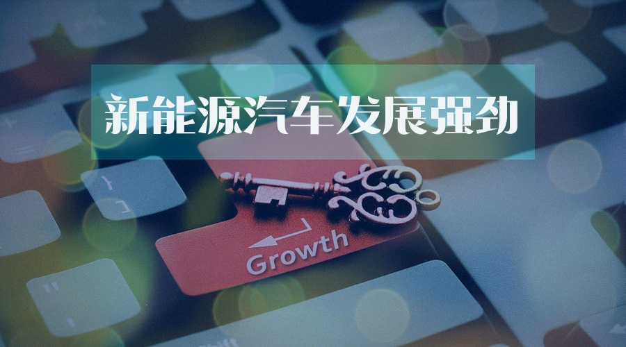 7065-iryninw9508168.jpg